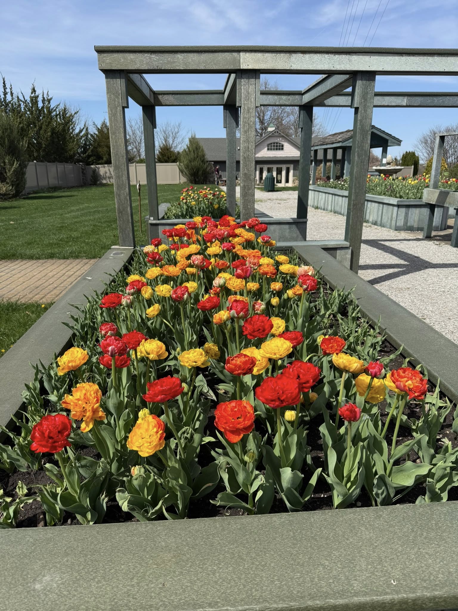 History of the Arboretum-2025